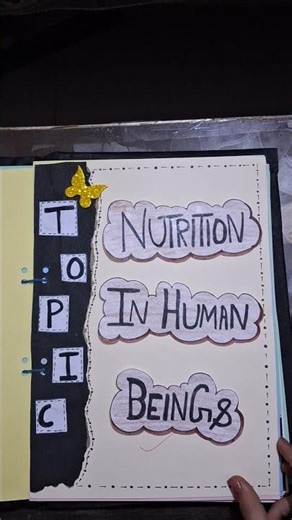 Science project file on human digestive system #art #craft #song