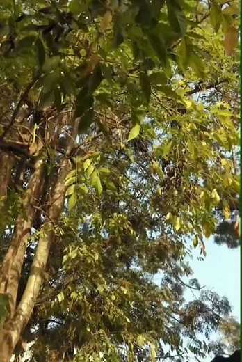 Rare scenes za weekends😂😂iykyk#the97podcast #fyyyyyyyyyyyyyyyy #3menarmy