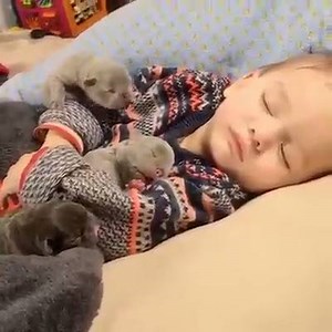 5.8K views · 1.2K reactions | Aww Cute Animals on Reels | Facebook