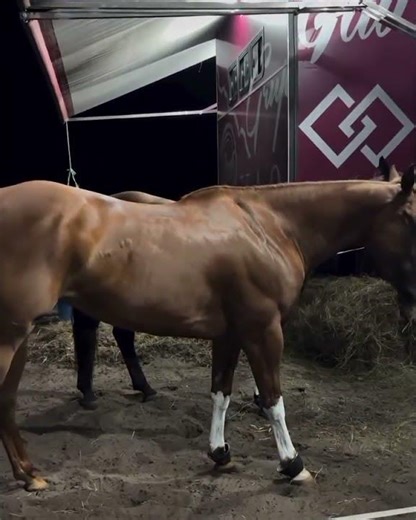 BROCOIÓ JUNIOR SHOWS HOW HIS TROOP IS DOING