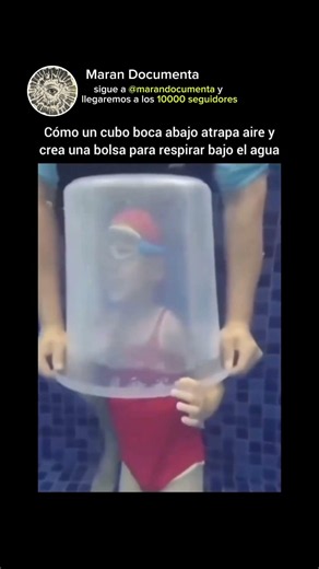 mira la descripción 👇👀