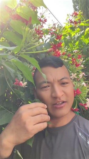 SPP/MCC सबै खारेज🤭