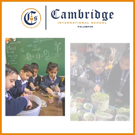 🌿 Little Gardeners at Work! 🌱 Seed Germination and Sapling Growth Activity | NLU “From seeds to saplings — our little learners explored the magic of growth!” • NLU students participated in a fun Seed Germination Activity in class. • They used waste containers, soil, and seeds like coriander and mustard. • Children excitedly watched their seeds sprout and grow into tiny saplings. • The activity helped them learn the basic needs of a plant — air, water, and sunlight. • It encouraged love for nat