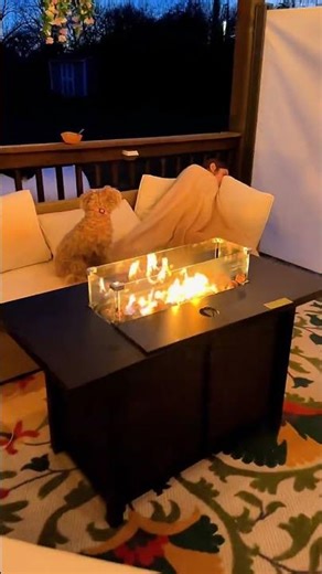 This propane fire pit table just turned my deck into the coziest hangout spot