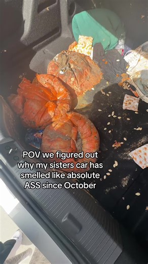 This cannot be real #fyp | seafood boil