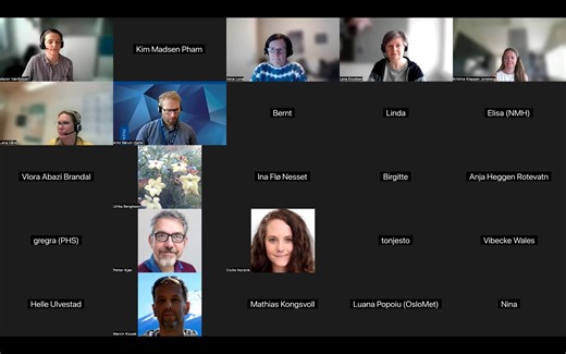 Wiseflow webinar 06.06.2025
