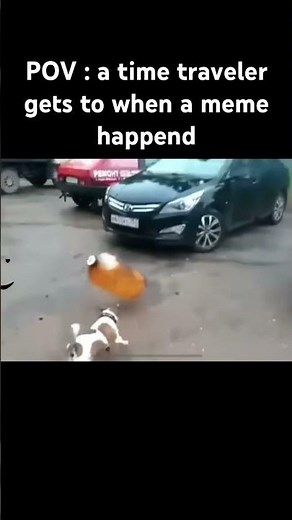 Dog bottle explosion #meme #funny #epicorangememes #fypシ゚ #fyp #viral
