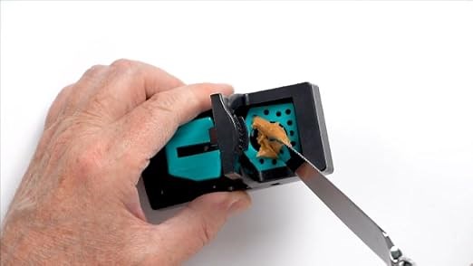 Best Mouse Traps for House  Humane Kill Snap traps That Work