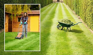 Lawn care: How to achieve ‘lush and healthy grass’ through mowing