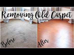 OLD CARPET REMOVAL | HOME PROJECT SERIES | BEFORE & AFTER