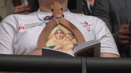 The Week of PRAYER for CHRISTIAN UNITY and What the meaning of “Christian unity” - Rome Reports