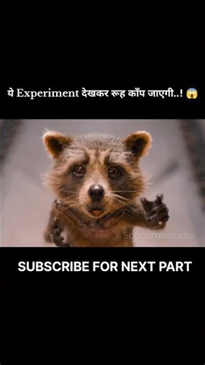 क्या तुम ये Experiment देख पाओगे.?😨hindi movie explanation