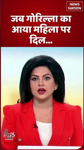 Gorilla Fell in Love with Woman! Viral Zoo Moment | Gorilla Love Story 2025