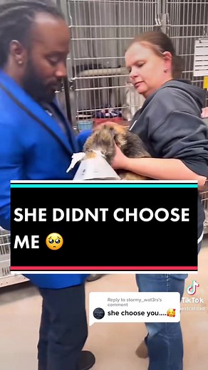 Black Best Cat Dad on TikTok