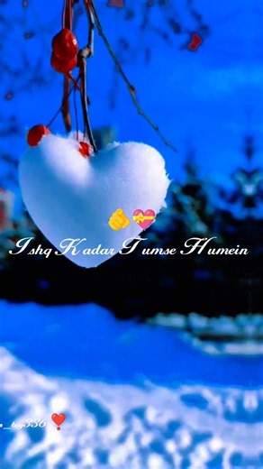 Ishq Kadar Tumse Humein 🤗💞✨l l whatsapp status l l ~series_boy336 #love #ishq #lyricsvideo #shorts