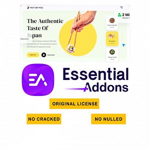 Essential Addons Pro for Elementor - 1 Website for Life / Automatic Updates / Perfect for Elementor Pro on Wordpress. - Etsy Canada