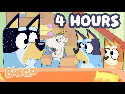 🔴 LIVE: Bingo Plays With A Cheeky Puppet! 🧸🧡 | 4 Hours Of Fun Toys | Bingo - Official