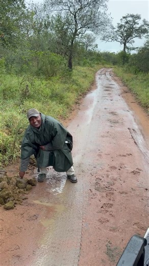 Rhino Poop Taste Test: Male or Female?
