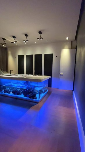 Creative Fish Shop on TikTok