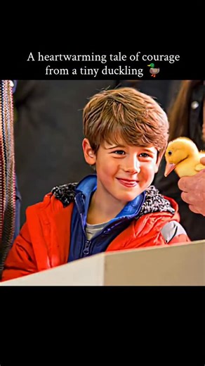 Movies | Entertainment | Netflix | Hollywood on Instagram: "🎬 Series: Tiny Creatures (2020) 🎭 Genre: Nature • Adventure • Docudrama 🕒 Seasons: 1 ⭐ Rating: 7.4/10 (IMDb) 📖 Overview: A visually stunning docuseries that follows small animals in high-stakes, cinematic adventures. Each episode focuses on a tiny creature—like mice, lizards, or owls—showing how they survive danger, predators, and harsh environments using instincts, speed, and surprising intelligence. 💖 Why It’s Loved: People love 