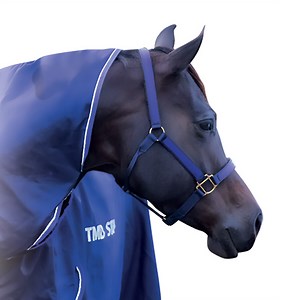 Designed your own Basic Halter