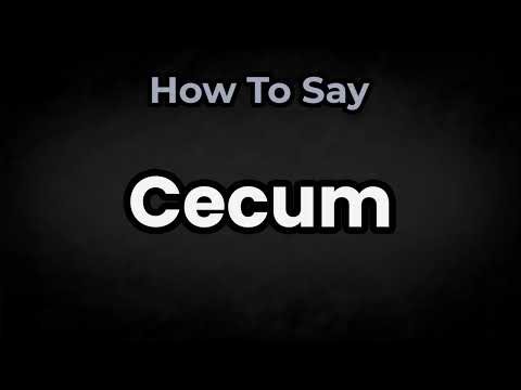 How To Pronounce Cecum? (CORRECTLY) Meaning & Pronunciation