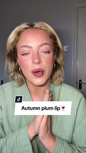 Easy Natural Makeup Routine for Pale Skin | Autumn Plum Lip