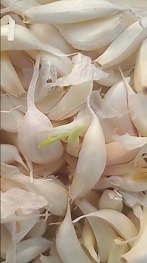 dil jale songs 💞🌹🍛👅😋