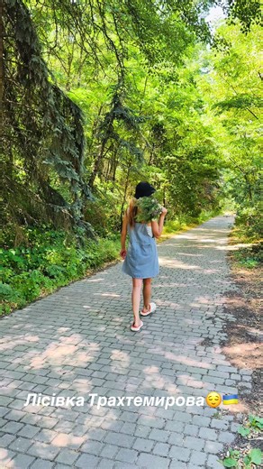 #рек #історія #трахтемирів