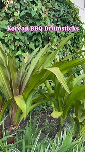 14K views · 465 reactions | Our NEW Korean BBQ Drumsticks are just 6 for $6, every Friday! Made fresh with that sweet-meets-savory Korean BBQ flavor we all love and crave. Perfect for an easy, ‘ono meal! | Foodland - Hawaii | Facebook