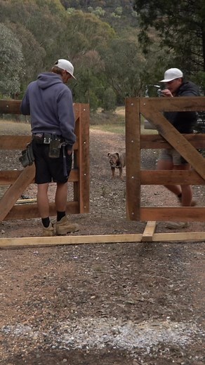 House Transformation: Old Gates Replacement Journey