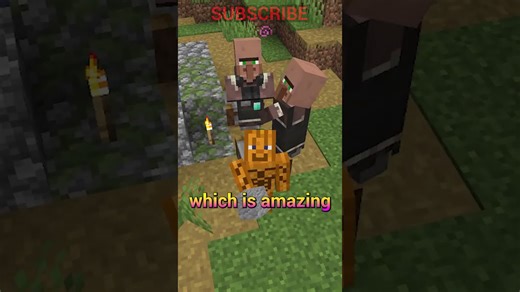 Mason villagers are garbage cans