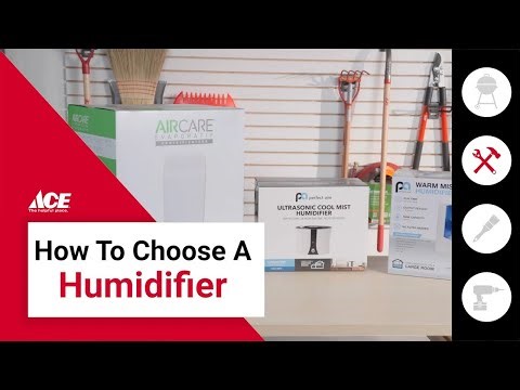 How To Choose A Humidifier | Ace Hardware