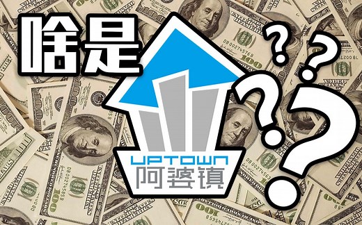 一年花了150万！？这UP到底干了啥？「阿婆镇社群启动说明」