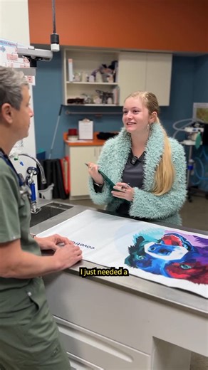 All-Star Veterinary Clinic on Instagram: "Vet techs need to be in more Hallmark movies 🎄 #veterinarian #vetmed #vettech #veterinarylife #vettechlife #vetclinic"