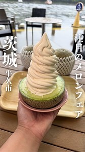 メロンフェア│ポケットファームどきどき つくば牛久店のメロン食べ放題と生メロンソフト