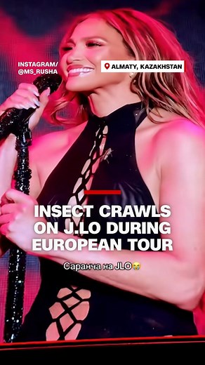 Singer, dancer and actress Jennifer Lopez was performing in Almaty, Kazakhstan when an uninvited guest joined her on stage. She casually dismissed the intruder, a long-legged insect, and thanked her fans. | CNN