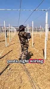 Hardcore grape trellis construction tips | BuildCraft Zone