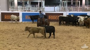 52K views · 1.5K reactions | Check out Tarin Rice Performance Horses & @CR Gotcha Covered getting it done at the RODEOHOUSTON Open Cutting Finals last night scoring a 226 for the win!!! Thanks to #ClearmanVideo for the highlight. | Performance Horse Central | Facebook