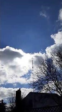 enjoying the sun in the backyard