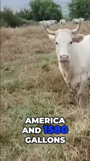 Israel's Desert Farming: Miracle or Myth?