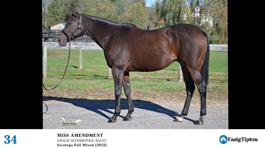 2025 Fasig-Tipton Saratoga Fall Mixed Sale: Hip #34 Miss Amendment