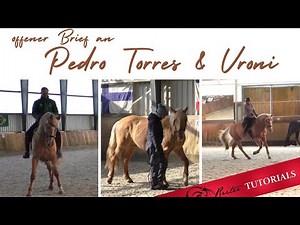 offener Brief an Pedro Torres & Dr. Veronika von Rohrscheidt // Reitertutorials // Reitertutorials
