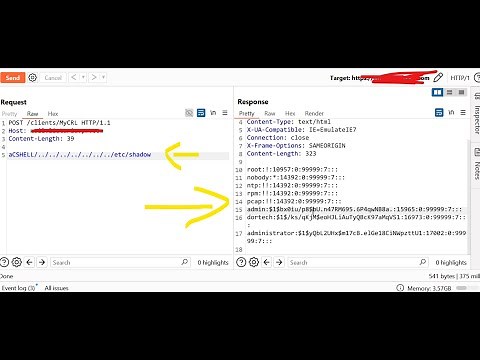 Check Point R81, R80, R77, R75 - Arbitrary File Read | Live Recon Using Netlas - CVE-2024-24919 POC