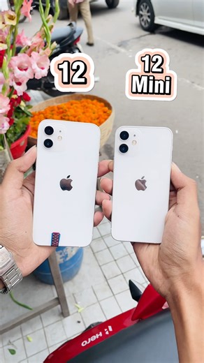 iPhone 12 Vs iPhone 12 Mini || Camera Test ! #shorts