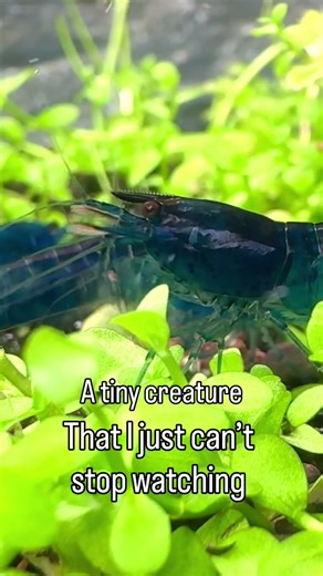 A good addiction 💙