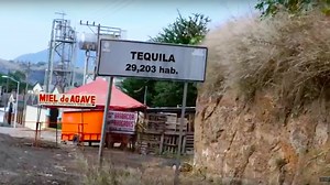 Watch: Everything You Need to Know About Making Tequila