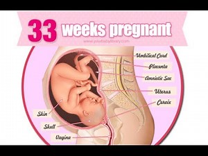 33 weeks pregnant and body changes, Babys Development at 33 weeks