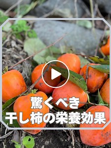 驚くべき干し柿の栄養効果と健康への利点