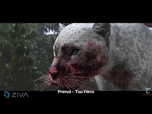 Ziva Dynamics 2019 Customer Reel